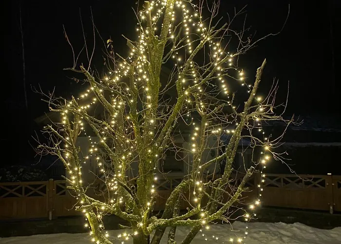 Maier Апартаменты